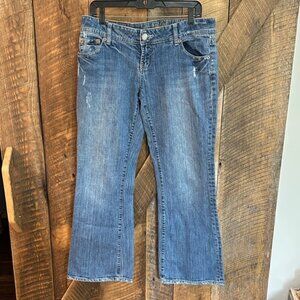 American Eagle AE Artists Classic Blue Denim Jeans size 10 Short -E5